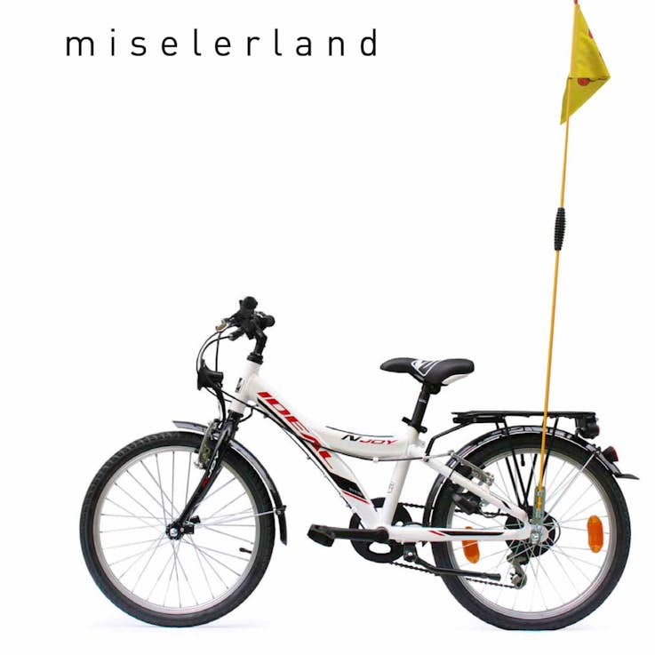 Annexe 6 Le Materiel De Location Renta Bike Miselerland 1
